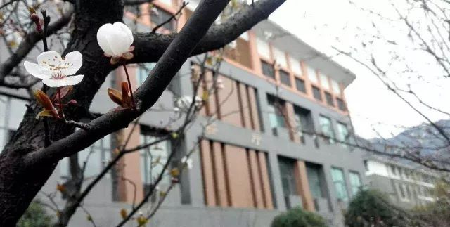 都江堰北街小学永丰校区好久开工,都江堰北街永丰小学怎么样