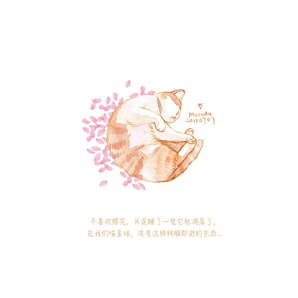 好手艺户外景观施工队,好手艺全部视频