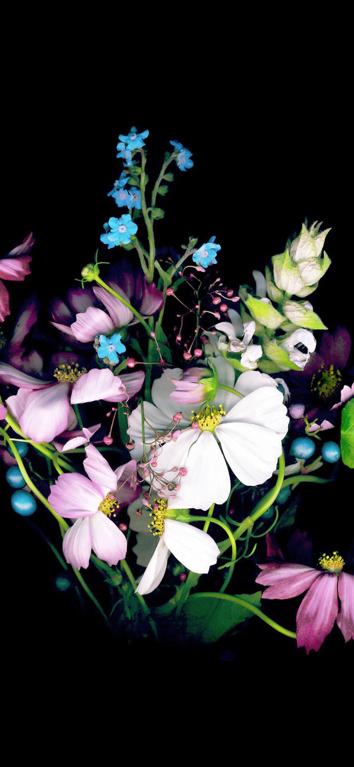 苹果x超清原生壁纸图片,ios原生壁纸x