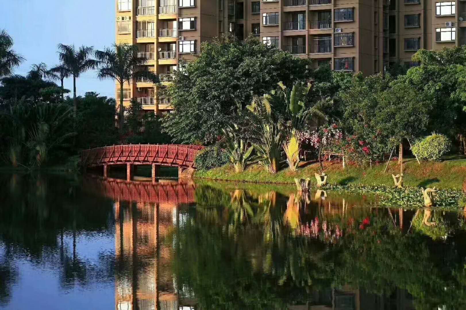 住陵水碧桂园珊瑚宫殿怎么报团,海南陵水碧桂园珊瑚宫殿二手房