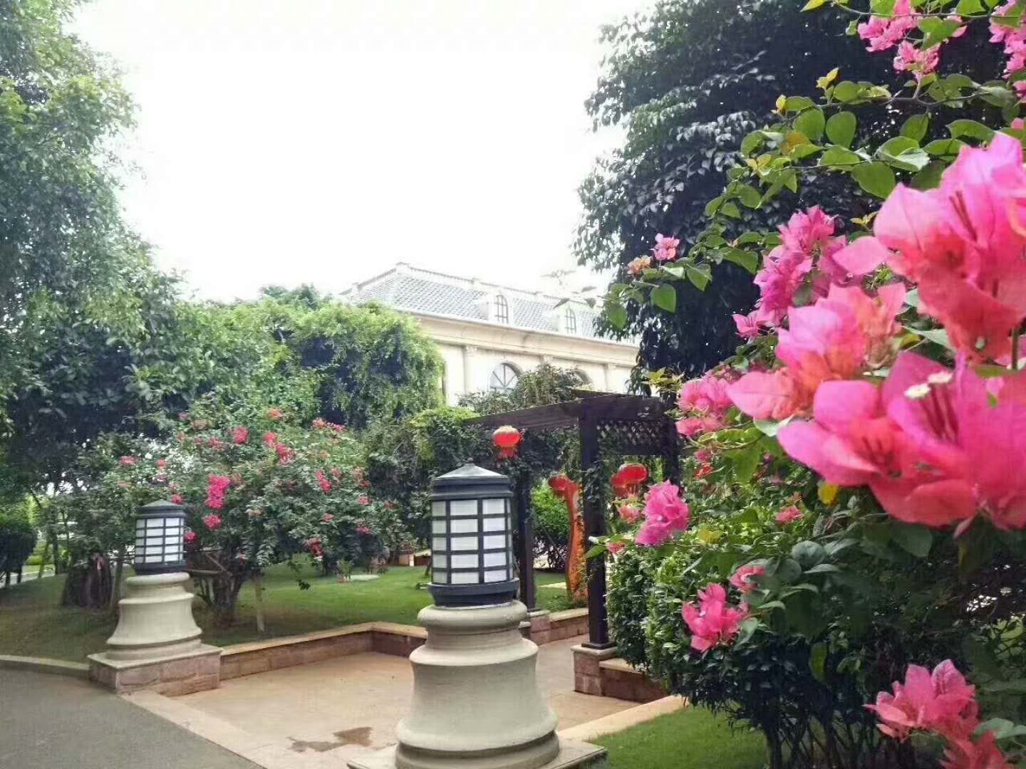 住陵水碧桂园珊瑚宫殿怎么报团,海南陵水碧桂园珊瑚宫殿二手房