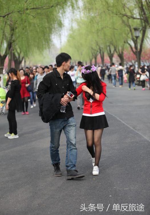 杭州西湖百花齐放,杭州西湖一枝独秀