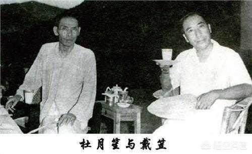 国民党军统抗日,国民党军队在抗战时期的战绩