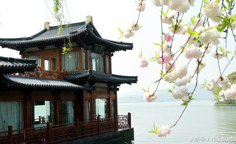 杭州西湖百花齐放,杭州西湖一枝独秀