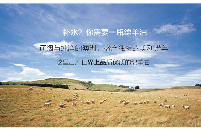 护肤保湿高手绵羊油 (绵羊油补水霜)