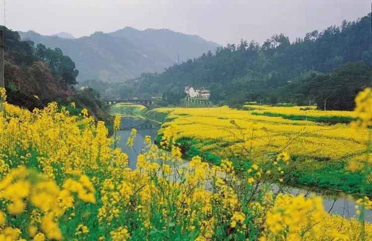 徽州山水风景,烟雨皖南水墨山水美景