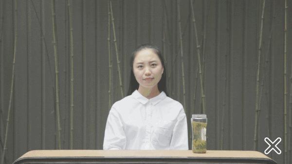 四季春茶的正确冲泡方法,春茶冲泡常识大全