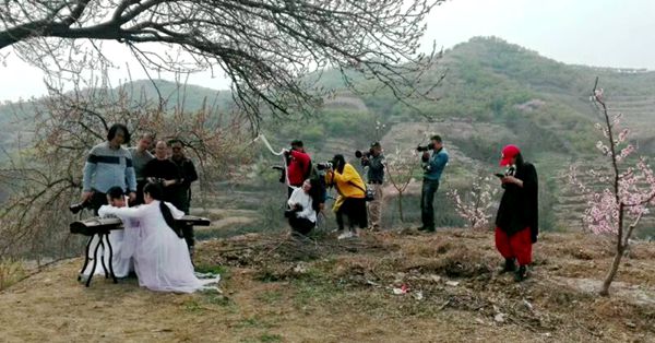 桃花深处赏桃花,桃花坞里桃花庵