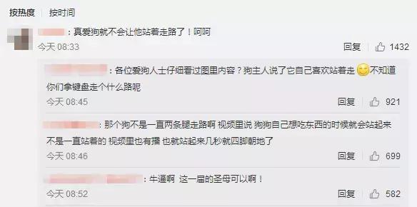 狗狗为什么直立行走,狗狗直立行走累不累