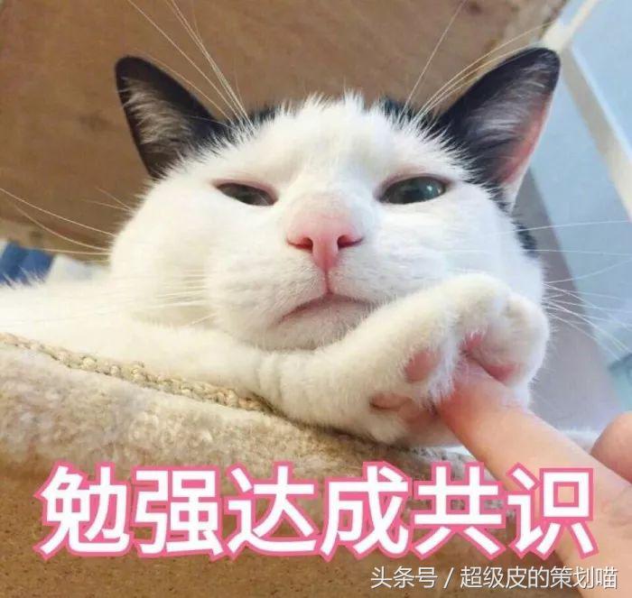 怎么操作抖音粉丝通,如何玩转微博超话