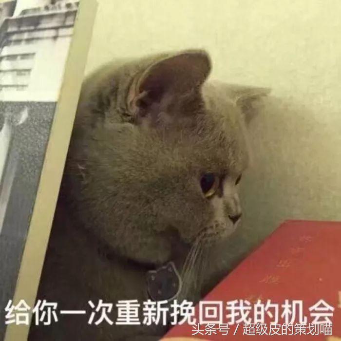 怎么操作抖音粉丝通,如何玩转微博超话