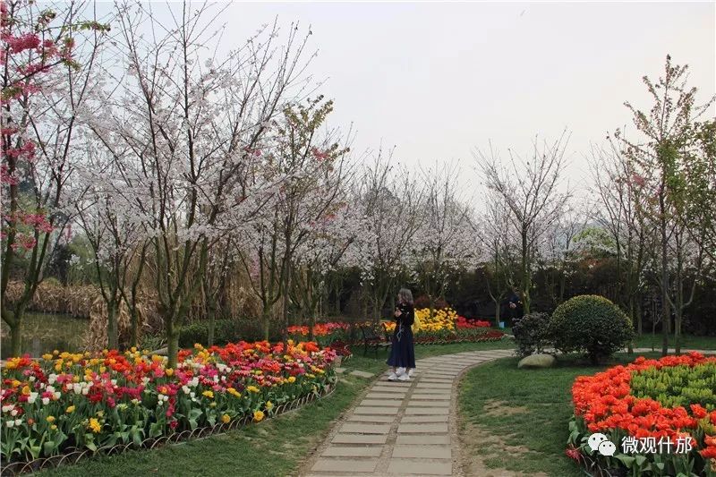 三月什邡旅游景点,三月的成都美景