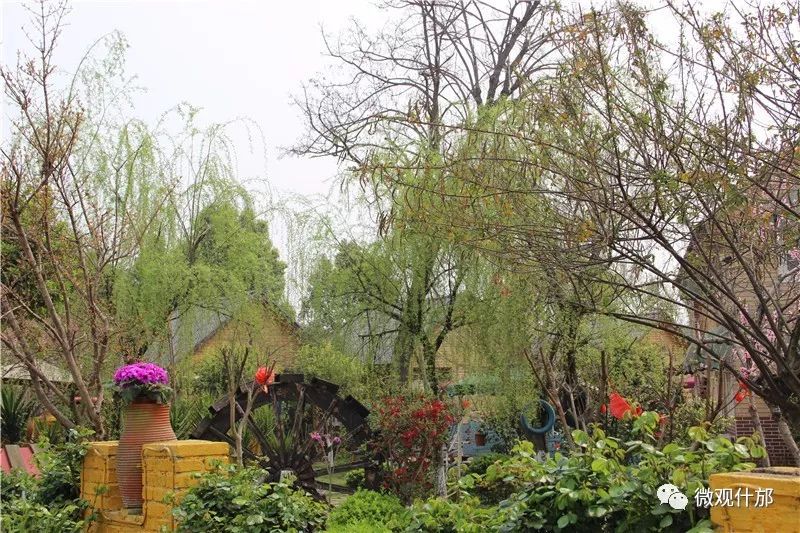 三月什邡旅游景点,三月的成都美景