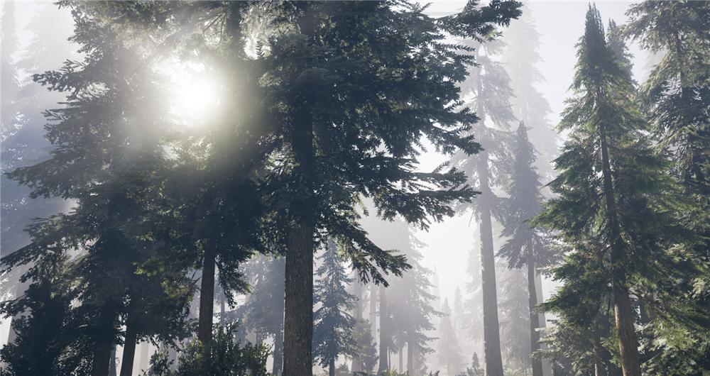 育碧孤岛惊魂4季票,育碧孤岛惊魂5预购奖励有哪些