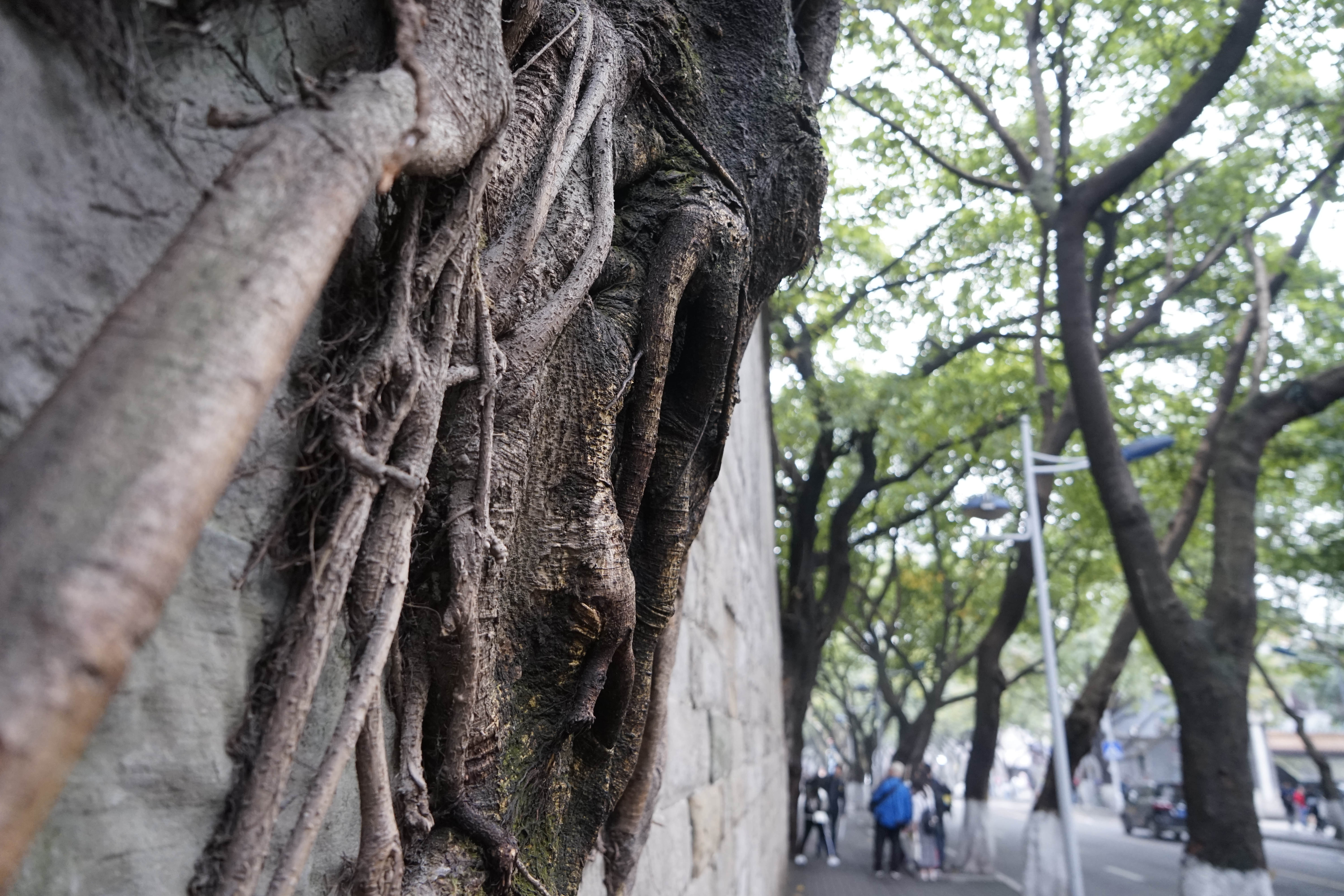 重庆3d看景区,重庆看3d电影最好的地方