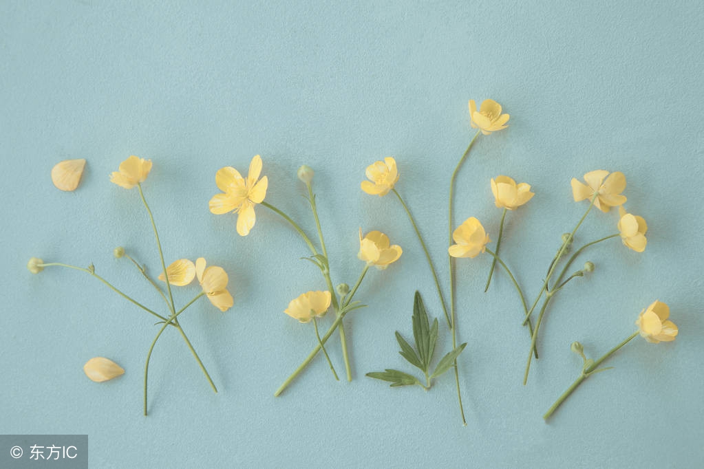 流产后怀孕的概率会降低吗,流产后怀孕几率很小吗