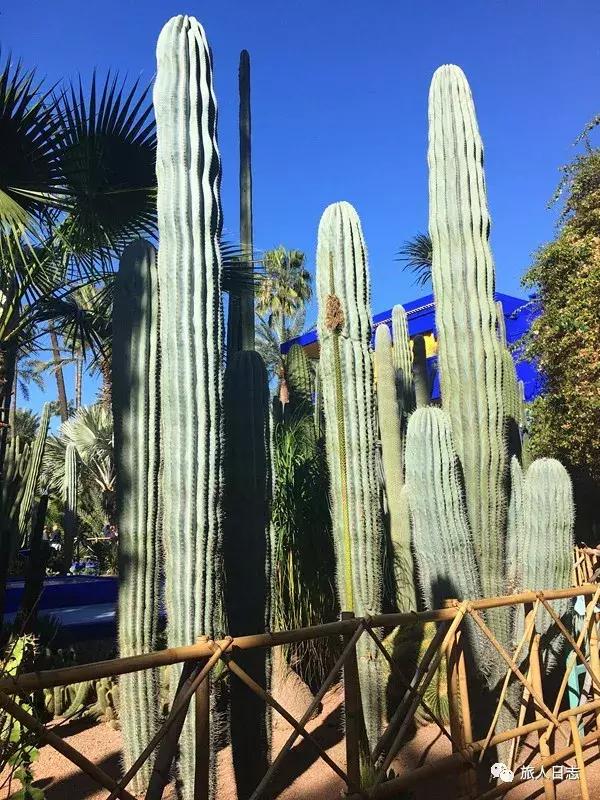 摩洛哥旅游免签吗,摩洛哥最新自驾游