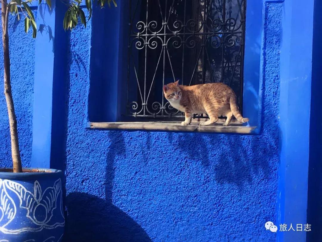 摩洛哥旅游免签吗,摩洛哥最新自驾游