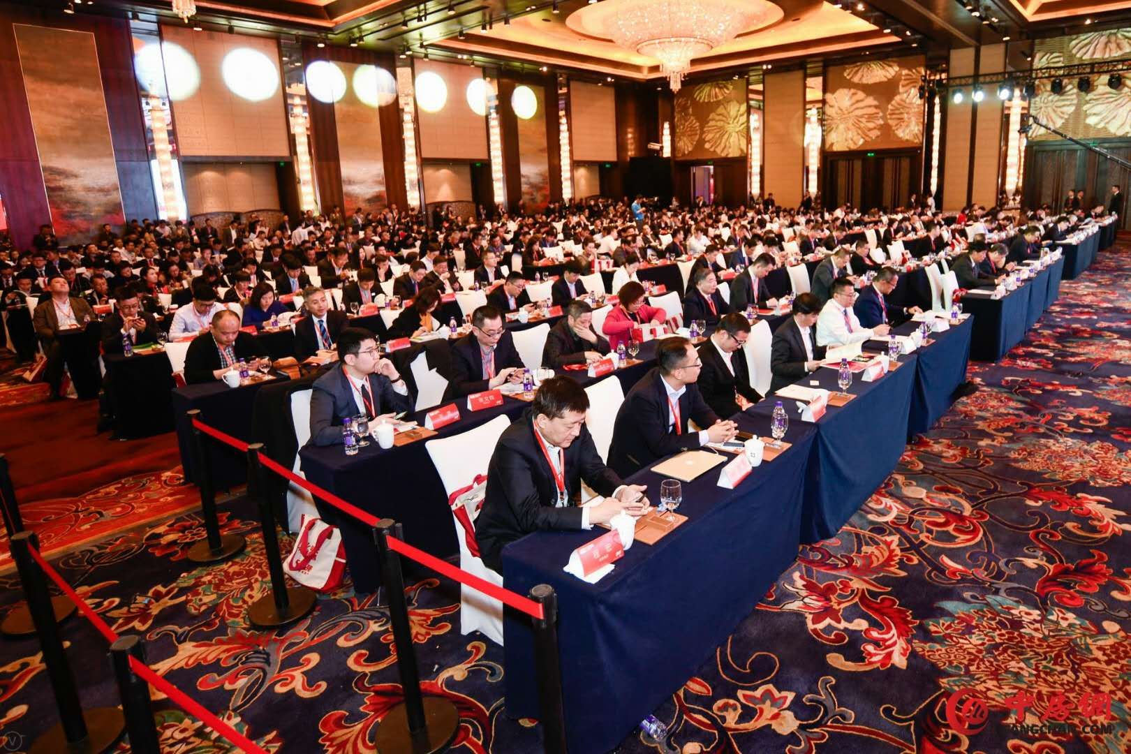 龙记地产董事长杨明生老婆,龙记地产杨明生