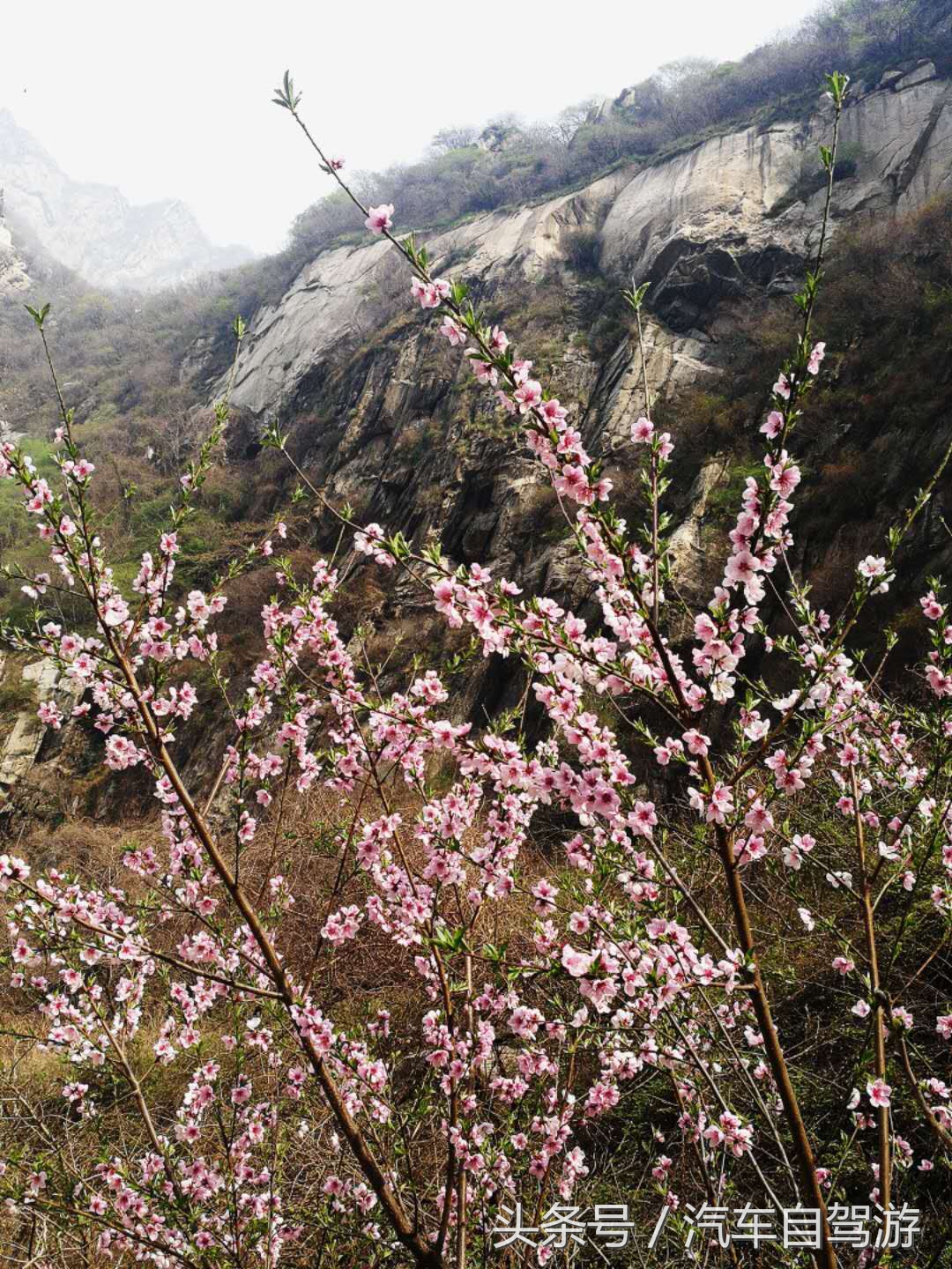 黄河旅游专列攻略,华阴到延安黄河观光线