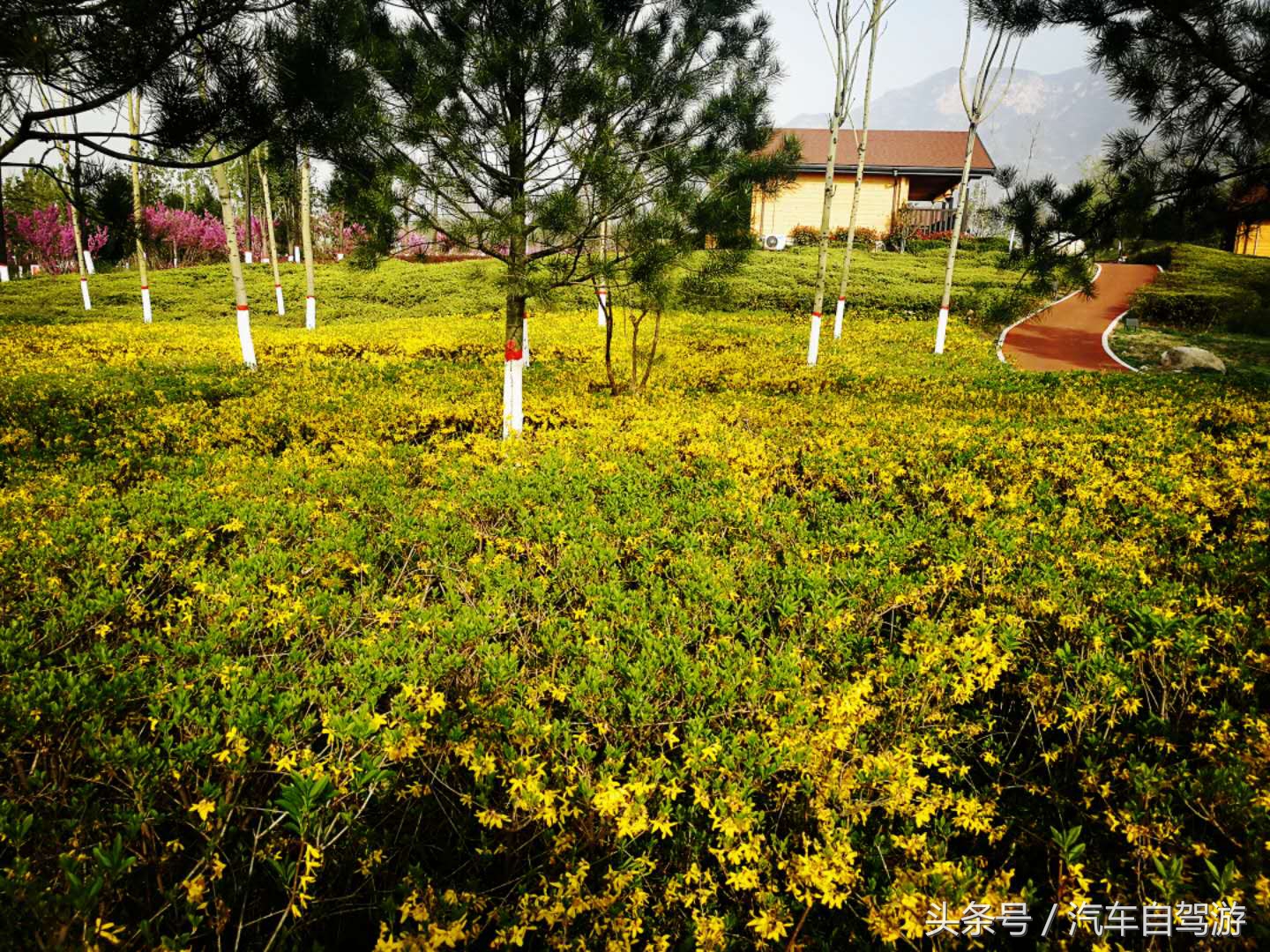 黄河旅游专列攻略,华阴到延安黄河观光线