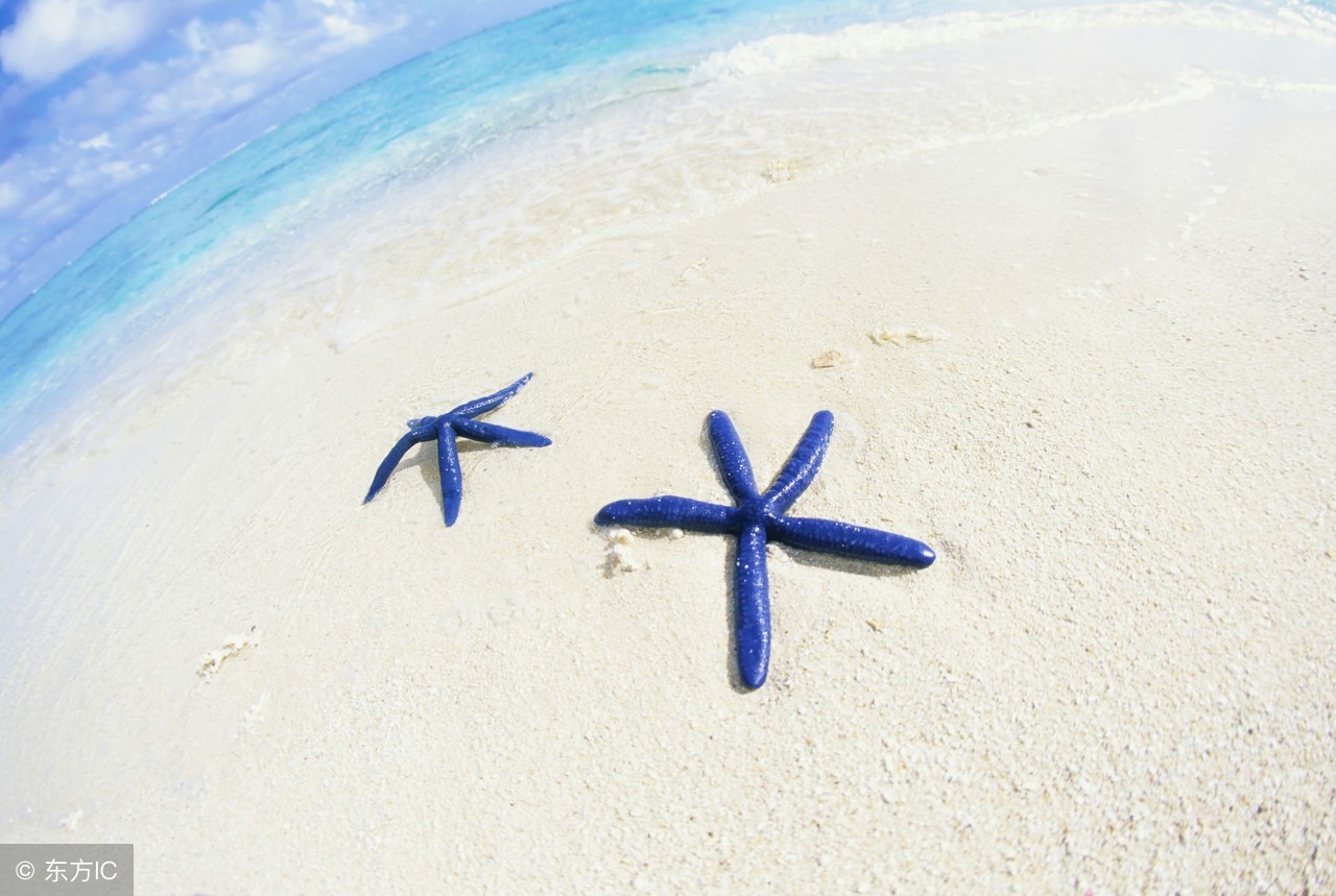 去塞班旅游多少钱一天,塞班七日游价格