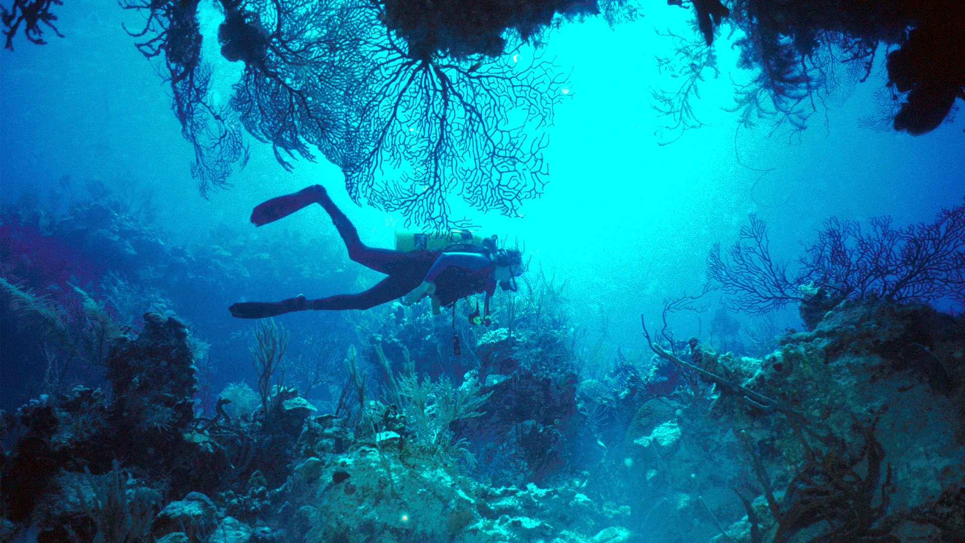 去塞班旅游多少钱一天,塞班七日游价格