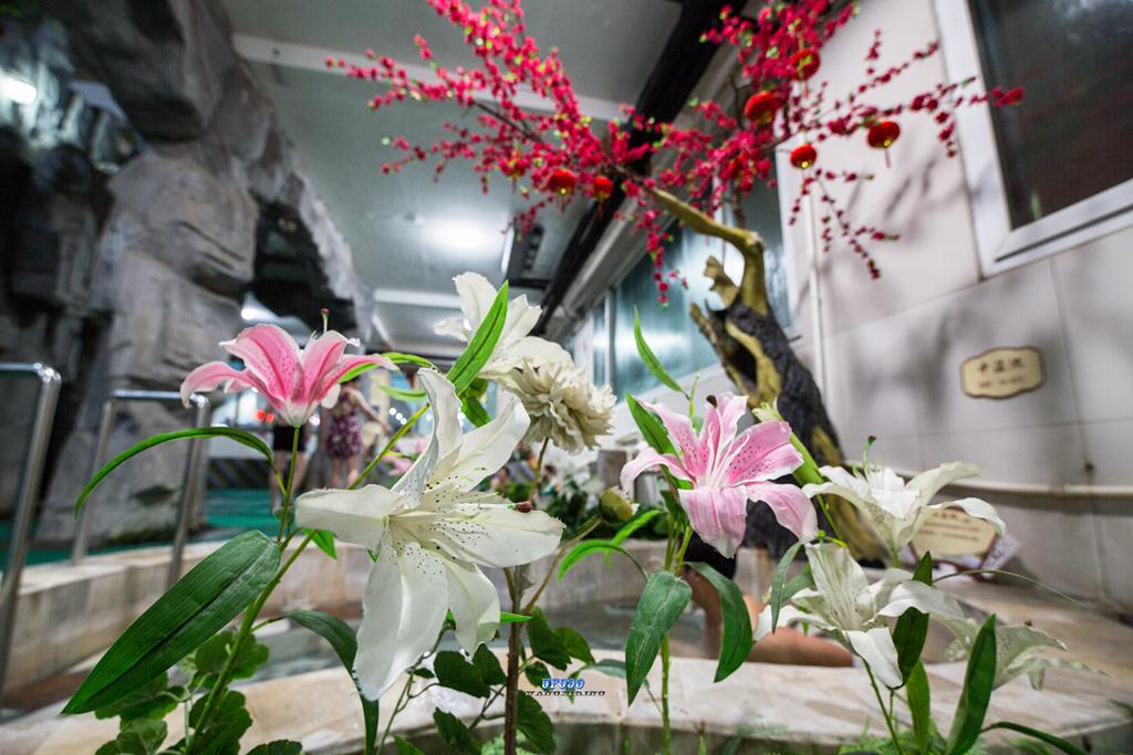 泡温泉真的蛮爽的,泡温泉透不过气