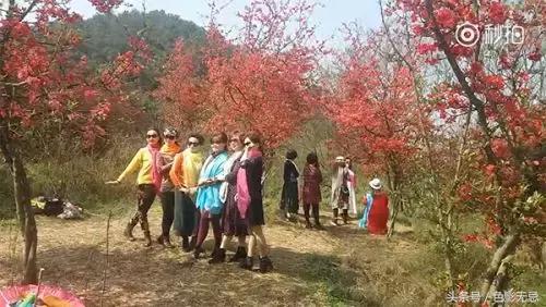 一条围巾引发狗血案,一条丝巾引发的案件