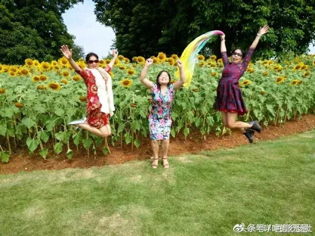 一条围巾引发狗血案,一条丝巾引发的案件