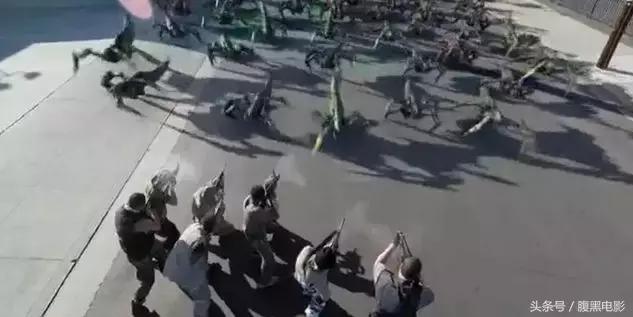 环大西洋和环太平洋对比视频,环太平洋对比