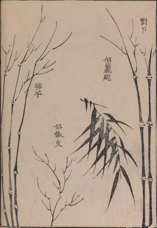 芥子园竹谱高清临摹,芥子园画谱原文