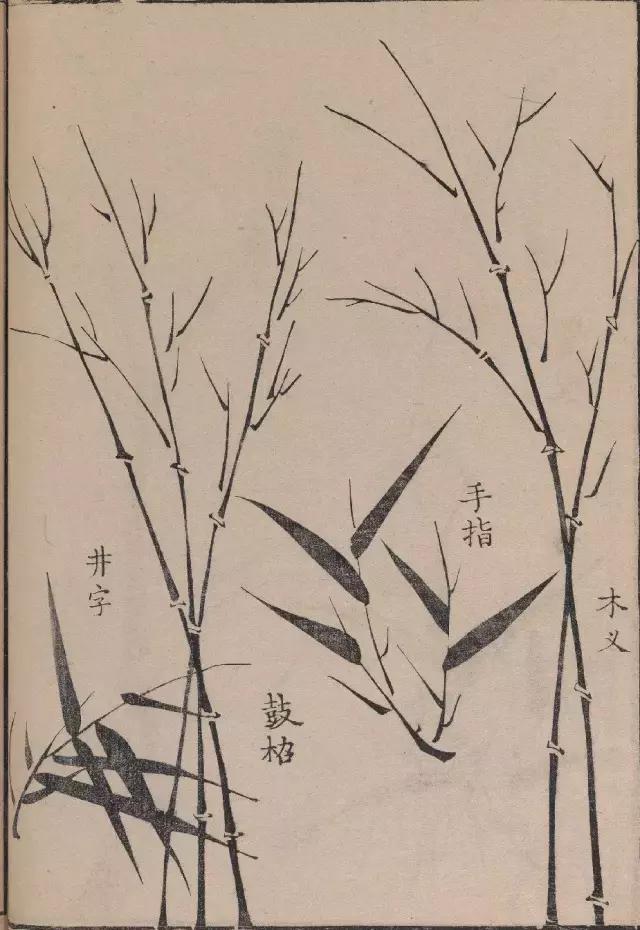 芥子园竹谱高清临摹,芥子园画谱原文
