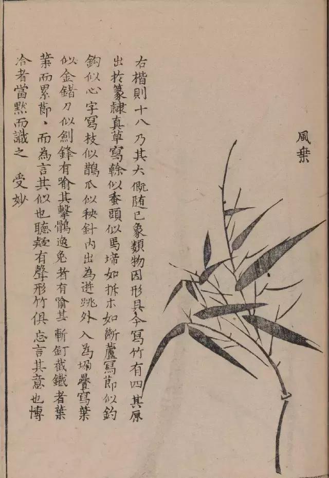 芥子园竹谱高清临摹,芥子园画谱原文