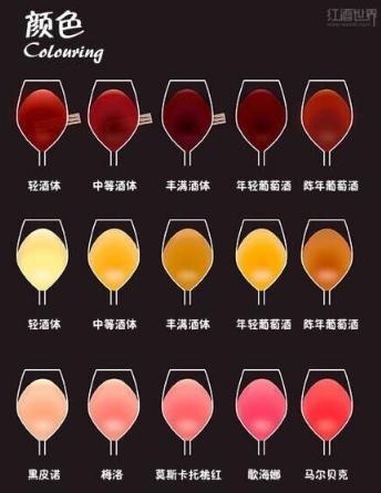 葡萄酒小知识葡萄酒怎么喝,喝葡萄酒一定要多了解葡萄酒知识