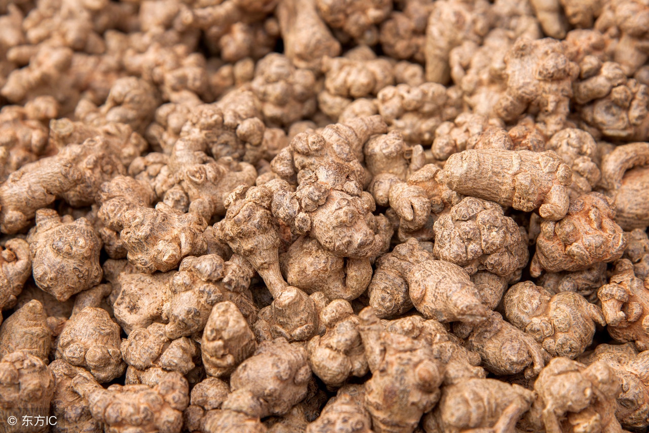 吃三七片的副作用,景天三七的副作用