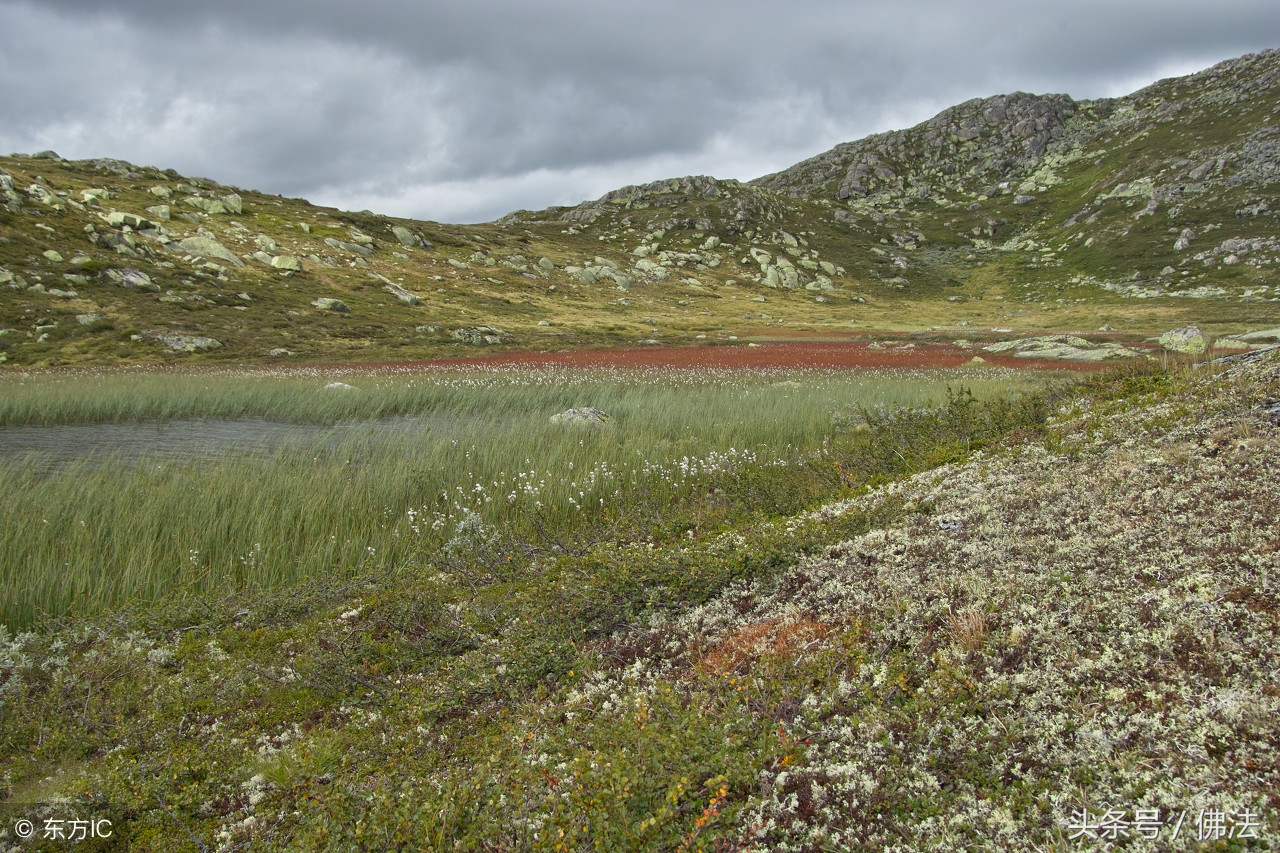 佛教对风水有什么看法,佛教怎样看待命相