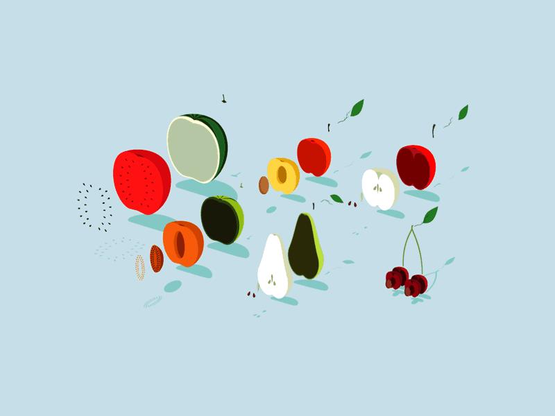 唯一公认有效的酵素片,纯天然果蔬酵素片真的有用吗