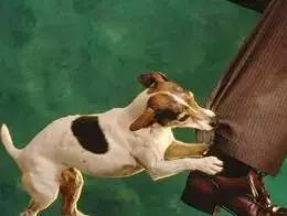 职称论文专著审核标准,职称论文造假通报最新