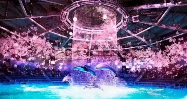 最美樱花限定来袭，少女心爆棚100%...