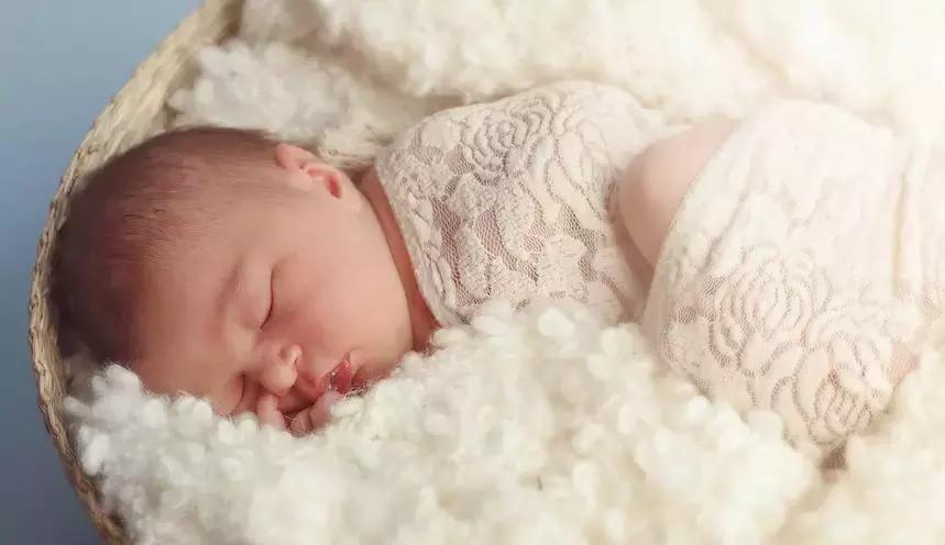 再过几天,石家庄这些东西统统免费!不知道你就亏大了!