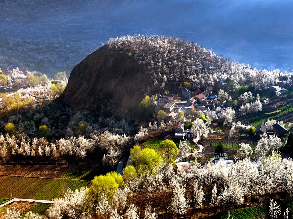 泸州的桃花盛花期,泸州桃花梨花