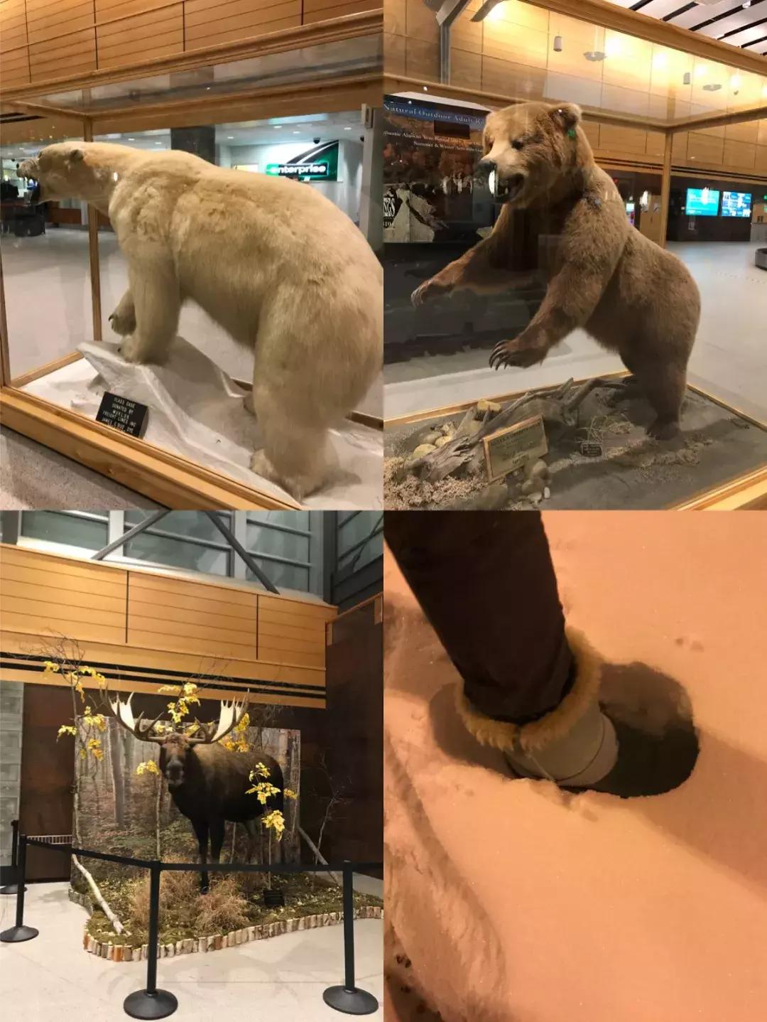 一生一定要去一次夏威夷,一生一定要来的地方洛杉矶