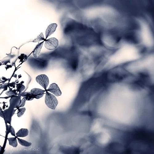 《错误》:梦里相思，酒后遣怀。