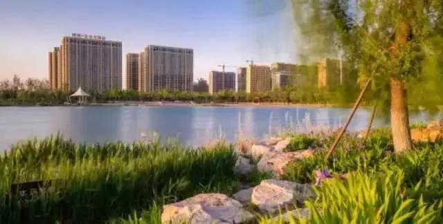 淄博房价跌幅排名,淄博房价2005年到2010年