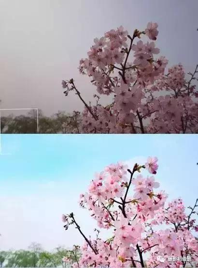 推荐一款最好的手机摄影软件,手机拍出好看的照片app