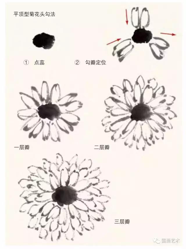 名家画菊花国画视频,徐湛画菊花国画入门教程