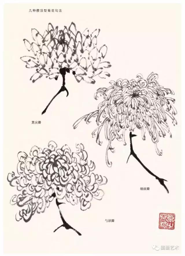 名家画菊花国画视频,徐湛画菊花国画入门教程