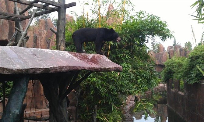 广州顺德长鹿农庄游乐场,顺德长鹿农庄值不值得去