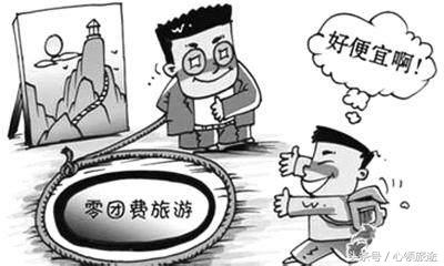 旅游低价团亲身体验感受,低价团旅游最担心什么